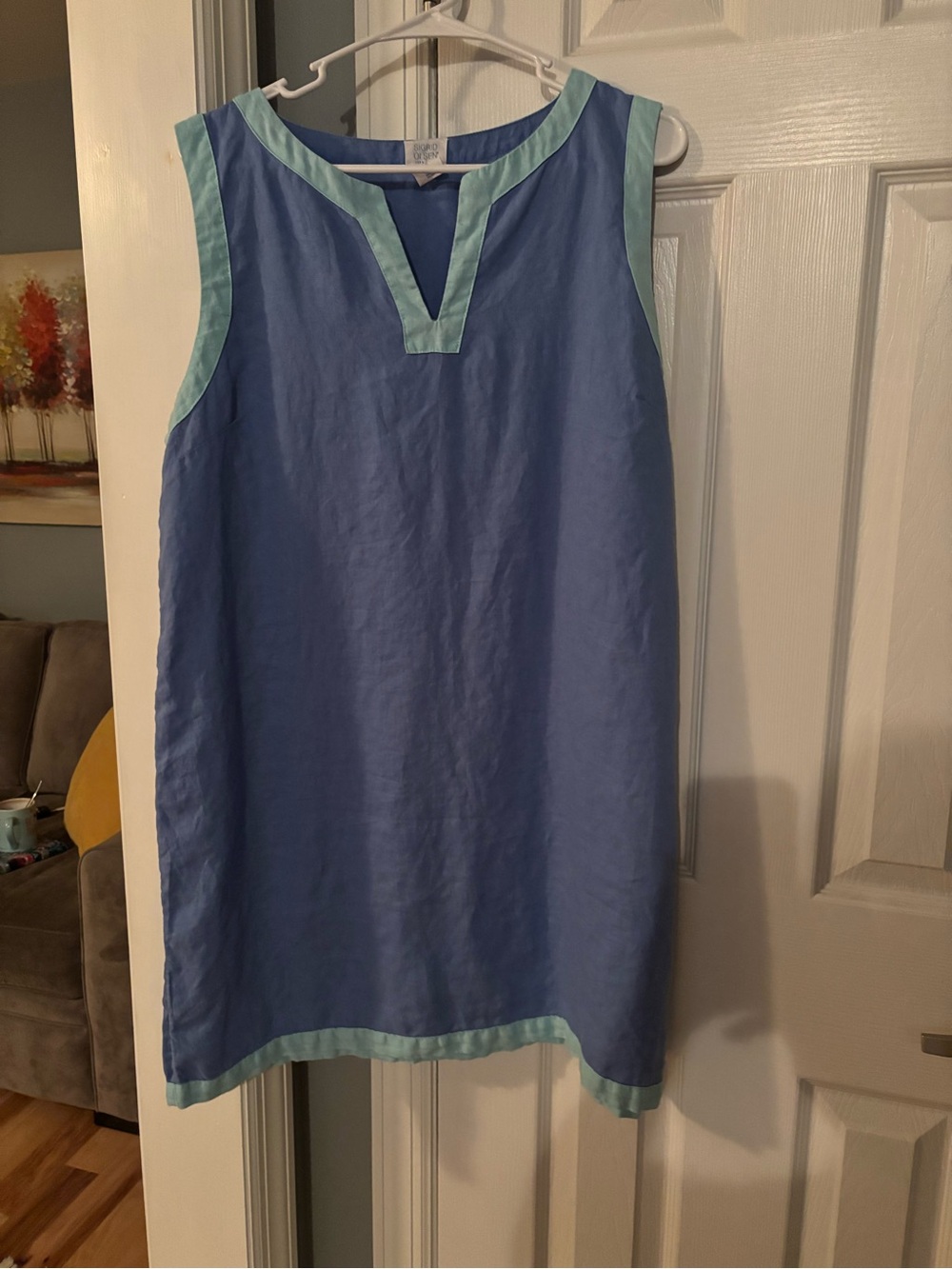 Blue Sleeveless Shift Dress with Mint Trim